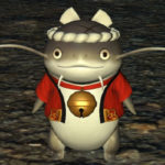ナマズオ族画像