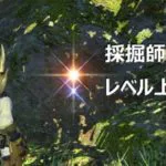 採掘師レベル上げ