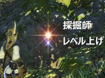 採掘師レベル上げ