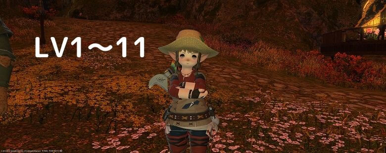 Ff14園芸師の効率的なレベル上げ Lv1 80のオススメルート